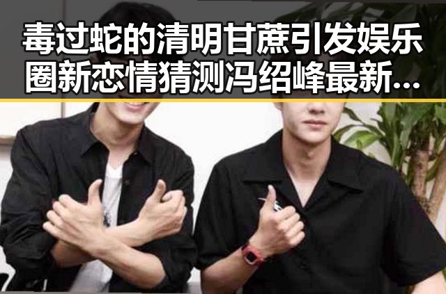 毒过蛇的清明甘蔗引发娱乐圈新恋情猜测冯绍峰最新八卦背后揭秘