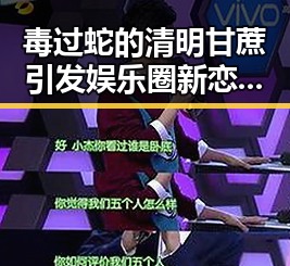 毒过蛇的清明甘蔗引发娱乐圈新恋情猜测冯绍峰最新八卦背后揭秘