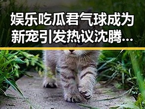 娱乐吃瓜君气球成为新宠引发热议 沈腾搞笑段子带来欢乐双重爆笑