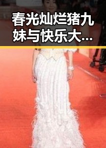 春光灿烂猪九妹与快乐大本营互动内幕曝光明星背后隐藏的情感纠葛