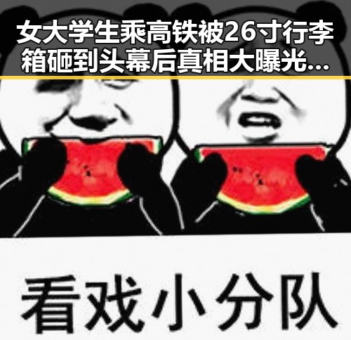 女大学生乘高铁被26寸行李箱砸到头幕后真相大曝光 娱乐圈吃瓜文件怎么弄