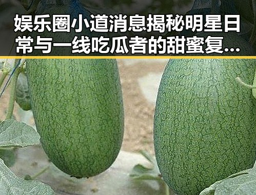 娱乐圈小道消息揭秘明星日常与一线吃瓜者的甜蜜复仇之旅