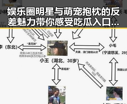 娱乐圈明星与萌宠抱枕的反差魅力带你感受吃瓜入口的精彩日常