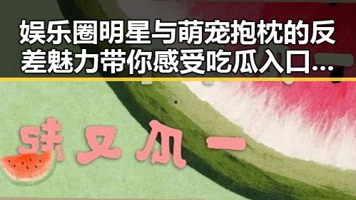 娱乐圈明星与萌宠抱枕的反差魅力带你感受吃瓜入口的精彩日常