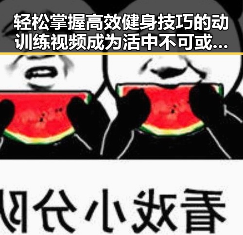 轻松掌握高效健身技巧的动训练视频成为活中不可或缺的一部明星神器