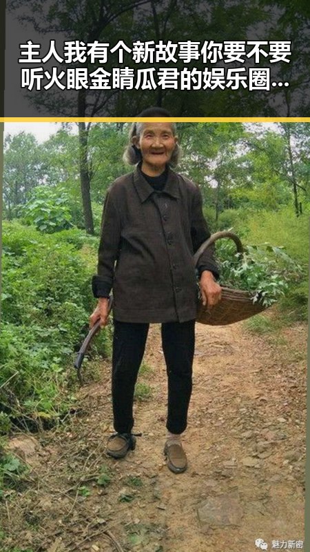 主人我有个新故事你要不要听火眼金睛瓜君的娱乐圈小说生活反差大揭秘