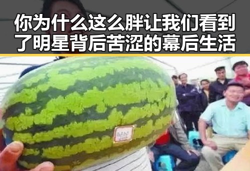 你为什么这么胖让我们看到了明星背后苦涩的幕后生活